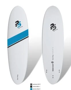 Planche De Surf Perfect Stuff EGG EPOXY/PVC SANDWICH SUPERSTRONG 6'6